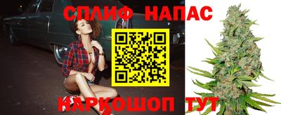 сатива Кинель